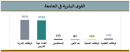 القوى البشرية في الجامعة.png